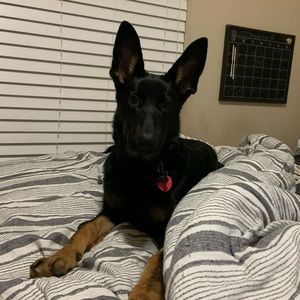 Meet your Posher, Becca